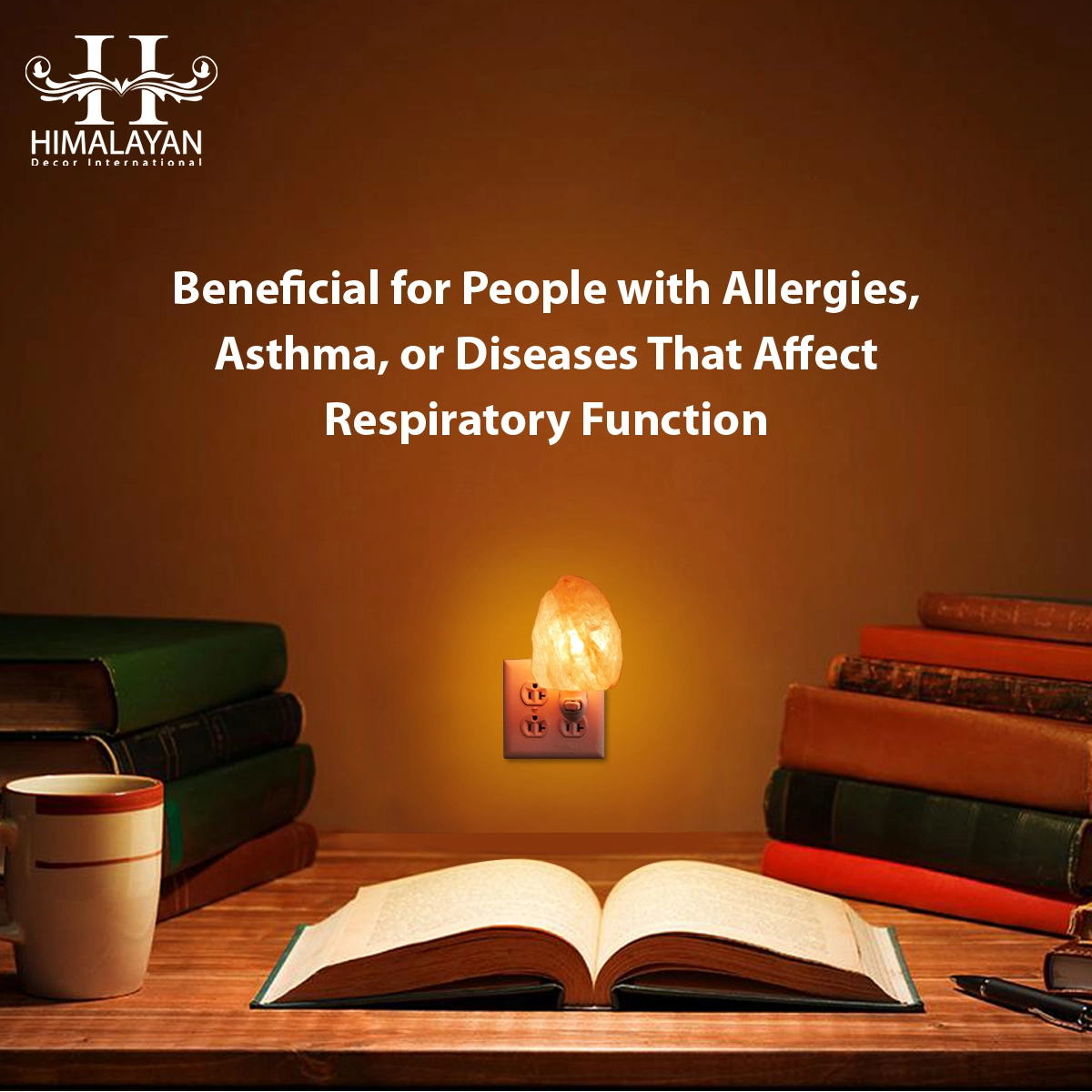 Hand Carved Natural Shape Himalayan Salt Nightlight Mini Lamp